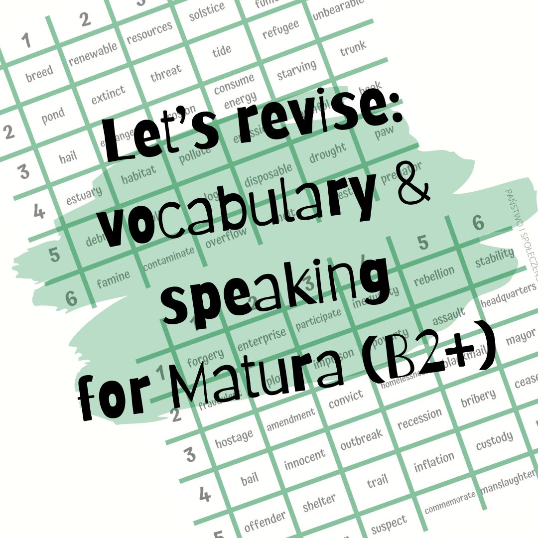 Let's revise: vocabulary & speaking for Matura (B2+) - obrazek 2